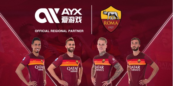 专业与公信